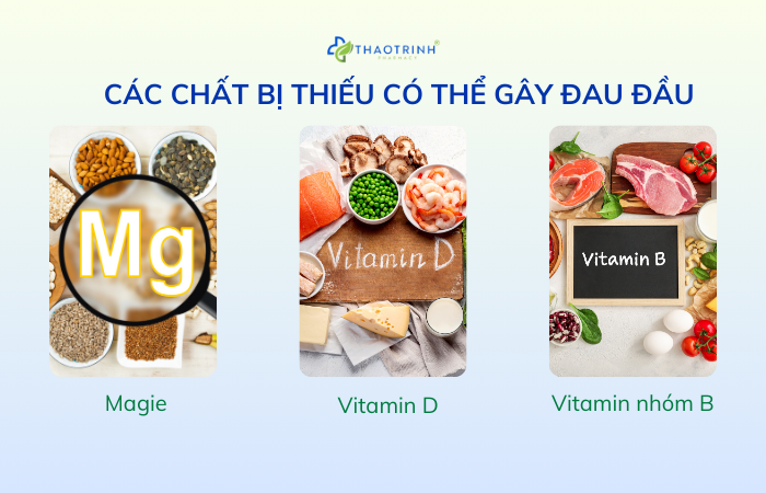 Công dụng chính của Ginkgo Biloba-1