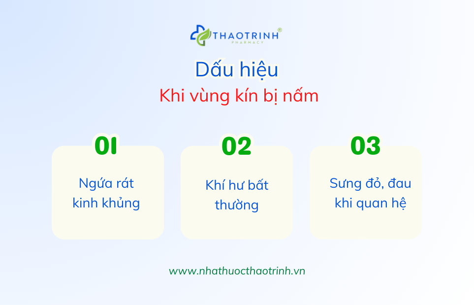 Dấu hiệu khi vùng kín bị nấm