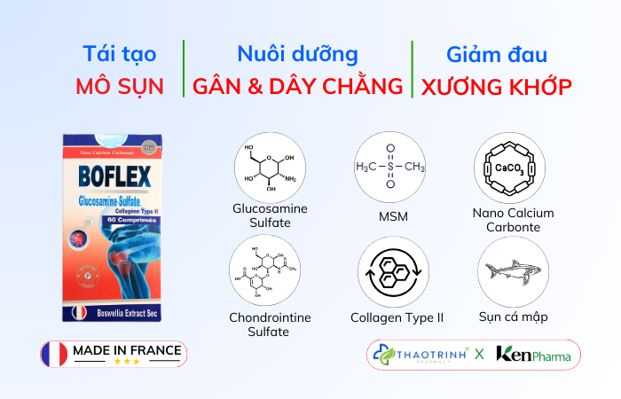 Điểm nổi bật của Boflex