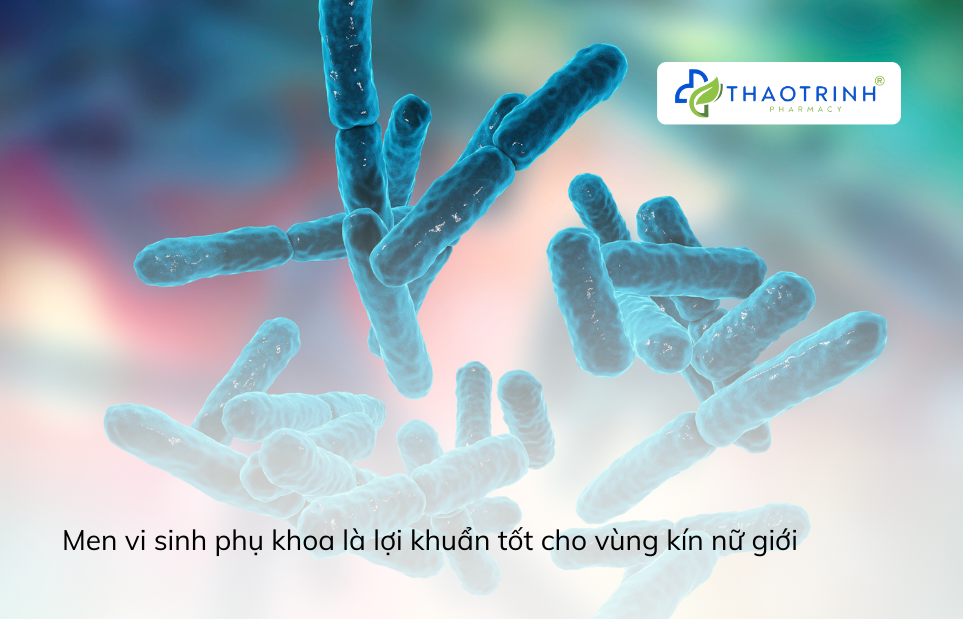 Men vi sinh phụ khoa là gì-1