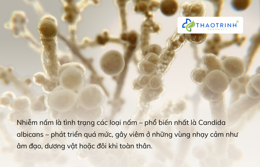 Nấm Candida albians
