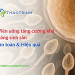 Top 4 viên uống tăng cường khả năng sinh sản an toàn & hiệu quả